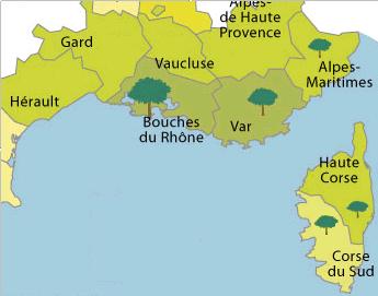 secteur d'activité de l'entreprise